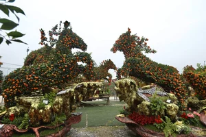 Massive 15-Meter Tangerine Tree Art: The Extraordinary 'Success is Coming' Bonsai Display for Luxury Lunar New Year Garden Decor-6