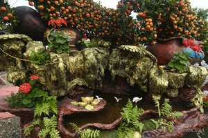 Massive 15-Meter Tangerine Tree Art: The Extraordinary 'Success is Coming' Bonsai Display for Luxury Lunar New Year Garden Decor-1