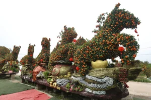 Massive 15-Meter Tangerine Tree Art: The Extraordinary 'Success is Coming' Bonsai Display for Luxury Lunar New Year Garden Decor-0