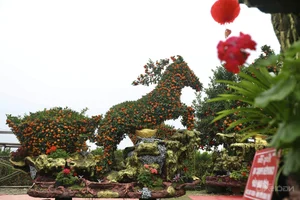 Massive 15-Meter Tangerine Tree Art: The Extraordinary 'Success is Coming' Bonsai Display for Luxury Lunar New Year Garden Decor-2