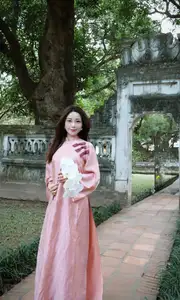 Phan Van Duc's Wife Stuns in Elegant Traditional Ao Dai Amidst Ancient Charm-5