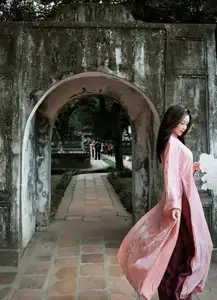 Phan Van Duc's Wife Stuns in Elegant Traditional Ao Dai Amidst Ancient Charm-0