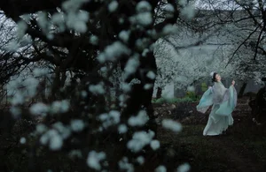 Ethereal Beauty of Wu Sui Sui in Art Language YiTuYu Vol.8876: A Spring Muse in Hanfu-19