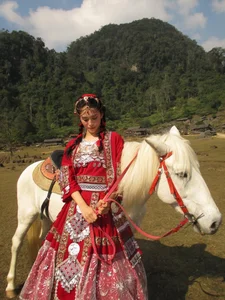Miss Vietnam Tran Tieu Vy shines in traditional ethnic attire amidst the majestic mountains-6