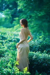 Serene Braided Beauty Bathed in Golden Sunlight-4