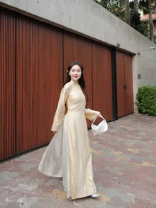 Elegant Vietnamese Silk Ao Dai: Discover the Timeless Grace and Traditional Beauty of Vietnam's Iconic National Dress for Women-4