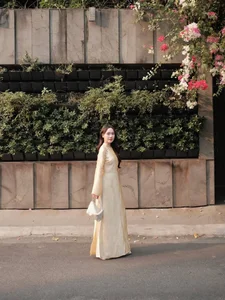 Elegant Vietnamese Silk Ao Dai: Discover the Timeless Grace and Traditional Beauty of Vietnam's Iconic National Dress for Women-3