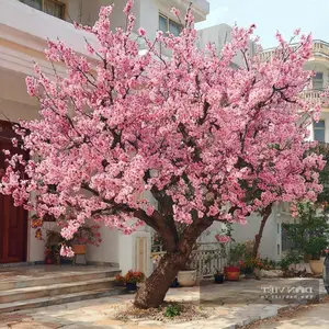 Persimmon Tree: A Symbol of Luck and Prosperity Cherished by Ancestors | 023108-3