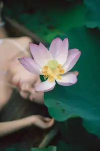 Ju Zi's Ethereal Beauty Amidst Lotus Blooms | YiTuYu Vol.8733-6