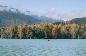 Khe Sanh's Red Leaf Season: Discover the Stunning Natural Beauty of Vietnam's Forest-1