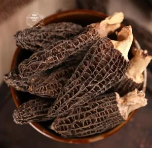 Morel Mushrooms: The Rare Forest Gems That Captivate Culinary Enthusiasts Worldwide-8