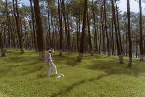 Ba Vi View Embrace Sunrise Over Cloud Sea Enjoy Fresh Autumn Air-1