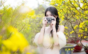 Stunning Yellow Apricot Blossoms: Traditional Vietnamese Lunar New Year Decor and Spring Blossom Inspiration for Your Home and Garden-5