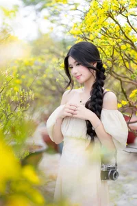 Stunning Yellow Apricot Blossoms: Traditional Vietnamese Lunar New Year Decor and Spring Blossom Inspiration for Your Home and Garden-8