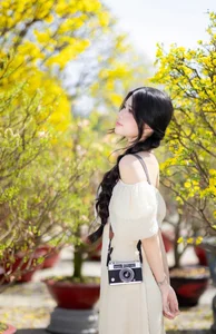 Stunning Yellow Apricot Blossoms: Traditional Vietnamese Lunar New Year Decor and Spring Blossom Inspiration for Your Home and Garden-7