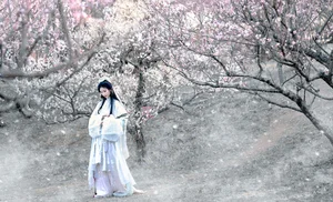 Artistic Portraiture Series: He Li Han in YiTuYu Art Language Vol.9316 – A Timeless Aesthetic Inspired by Classic Literature and Modern Elegance-8