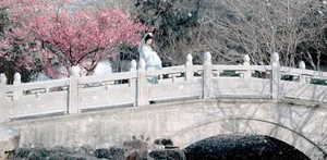 Artistic Portraiture Series: He Li Han in YiTuYu Art Language Vol.9316 – A Timeless Aesthetic Inspired by Classic Literature and Modern Elegance-9