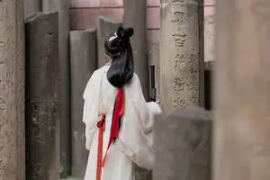 Yan Ru Yu's Timeless Hanfu Elegance: Discover YiTuYu Art Language Vol.8693-9