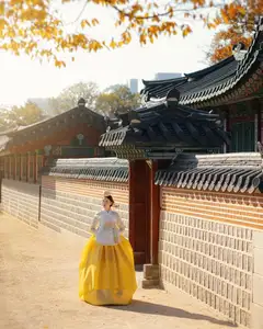 Vietnamese MC Thanh Thanh Huyen Shines in Traditional Hanbok in Korea-2