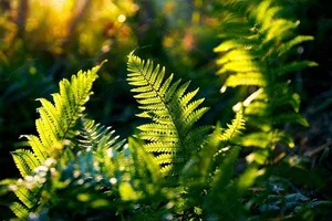 Discover the Secret History of Ferns: Prehistoric Survivors That Dominated the World Long Before Dinosaurs and Their Modern Evolution-5