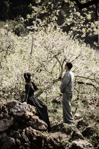 Springtime Magic in Moc Chau: Exploring the White Plum Blossom Valleys of Na Ka and Mu Nau for the Perfect Travel Photos-4