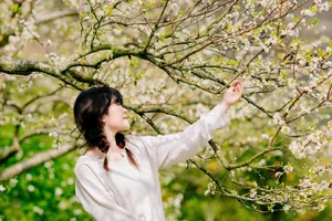 Springtime Magic in Moc Chau: Exploring the White Plum Blossom Valleys of Na Ka and Mu Nau for the Perfect Travel Photos-0