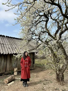 Springtime Magic in Moc Chau: Exploring the White Plum Blossom Valleys of Na Ka and Mu Nau for the Perfect Travel Photos-8