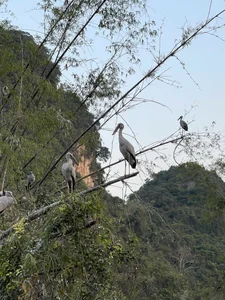 Finding Peace at Trang An: The Fenghuang Ancient Town of Ninh Binh-7