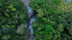 Conquering Hung Ngan Waterfall: A Hidden Gem in the Wild Forests of Quang Ngai-7