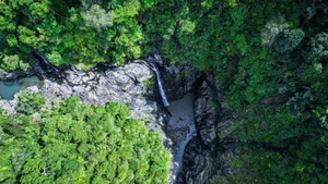 Conquering Hung Ngan Waterfall: A Hidden Gem in the Wild Forests of Quang Ngai-9