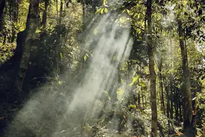 Conquer Ky Quan San: Witness the majestic sea of clouds after a challenging journey to the Northwest peak-11