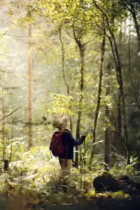 Conquer Ky Quan San: Witness the majestic sea of clouds after a challenging journey to the Northwest peak-6