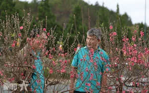 Experience the Vibrant Da Lat Tet Flower Market: A Colorful Celebration for Lunar New Year 2026 in Vietnam’s Iconic City of Flowers-2