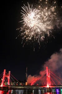 Spectacular Lunar New Year Fireworks Display: Celebrating the Year of the Horse with Vibrant Pyrotechnics and City Skyline Views-12