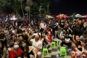 Spectacular Lunar New Year Fireworks Display: Celebrating the Year of the Horse with Vibrant Pyrotechnics and City Skyline Views-11