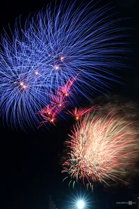 Spectacular Lunar New Year Fireworks Display: Celebrating the Year of the Horse with Vibrant Pyrotechnics and City Skyline Views-5
