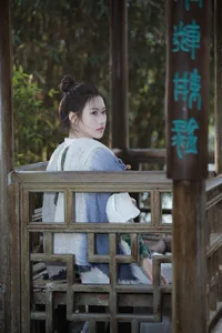 Elegant Traditional Chinese Aesthetic Photography: Art Language Vol.9375 Yi Zhan Bai Cha Qing Huan Collection-11