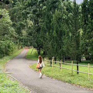 Discover Ankroet Dam Da Lat: A 'Hidden Paradise' with majestic waterfalls, ideal for stunning photos amidst wild mountains.-7