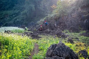 Discover the Rustic Spring Beauty of Ta Phinh Village: A Hidden Hmong Cultural Gem in Moc Chau, Northern Vietnam-0