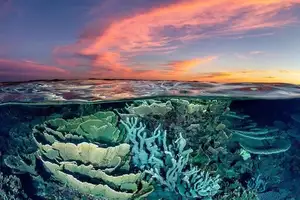 Witness giant sea turtles in Australia's ocean paradise: A magical moment on untouched sands-2