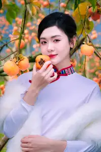 Graceful Vietnamese Girl in Traditional Attire Amidst Autumn Persimmon Garden-2
