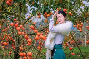 Graceful Vietnamese Girl in Traditional Attire Amidst Autumn Persimmon Garden-4