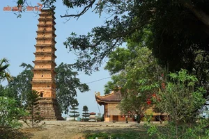 Timeless Beauty of Binh Son Tower - Vietnam's Ancient Buddhist Architectural Masterpiece-0
