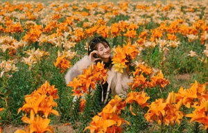 Golden Bliss: The Dreamy Lily Fields Along Kinh Thay River, Hai Phong-3