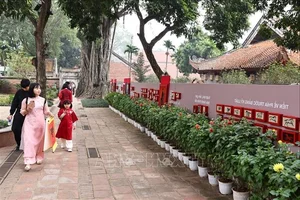 Experience the Magic of Lunar New Year in Hanoi: A Vibrant Spring Celebration in Vietnam's Historic Capital City-8