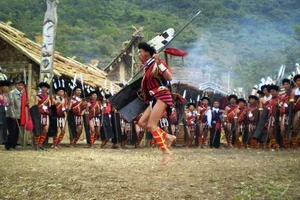 Timeless Beauty of Naga People: A Journey into Tribal Culture and Heritage-4