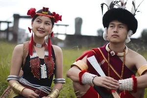 Timeless Beauty of Naga People: A Journey into Tribal Culture and Heritage-0