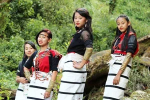 Timeless Beauty of Naga People: A Journey into Tribal Culture and Heritage-9