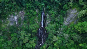 Bidoup Nui Ba Trekking: A Soulful Journey Through Vietnam’s Misty Ancient Forests and Mossy Trails-5