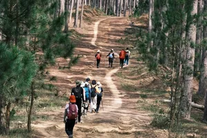 Bidoup Nui Ba Trekking: A Soulful Journey Through Vietnam’s Misty Ancient Forests and Mossy Trails-2